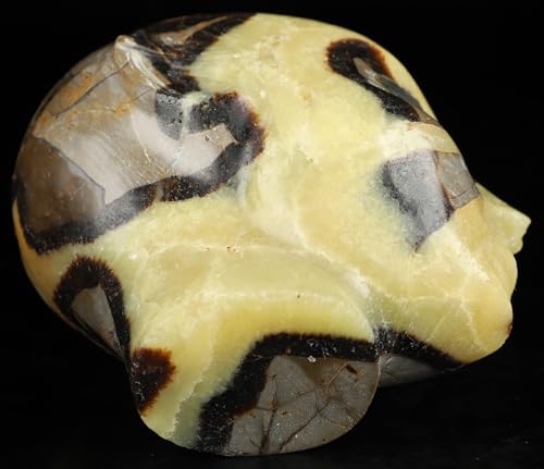 3.5" Dragon Septarian Stone Hand Carved Fairy Elf Alien Crystal Skull Companion with Eyes (Skullis 3.5" Dragon Septarian Stone 81)