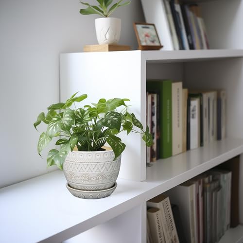 Ceramic Planters for Indoor Plants