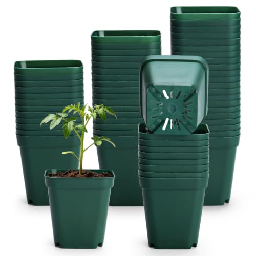 2.75 Inch Square Nursery Pots with Drainage Holes for Plants (Green-120p / 2.7" 120P)