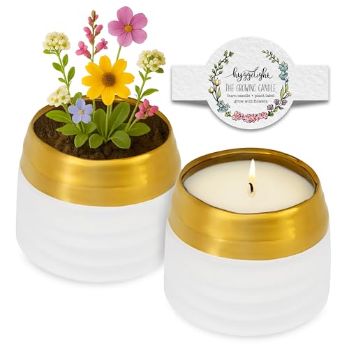 The Growing Candle (Clara)