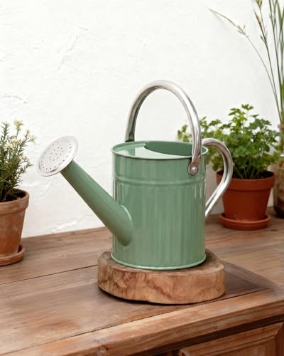 Metal Watering Can for Indoor Outdoor Plant 1 (Creamy Green)