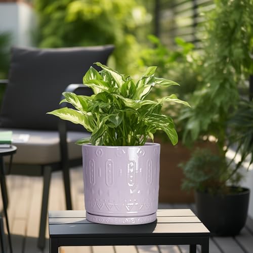 10 Inch Planter (10 Inch / Purple)