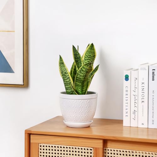 6.5" Ceramic Plant Pots Set of 2 (White / 6.5 inch)