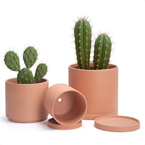 3 Pack Classic Terracotta Pots & Saucers (6+8+10 Inch / Terracotta)