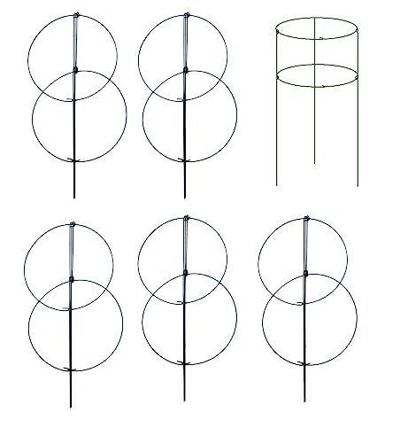 5 Pack 36" x 18" Peony Double Ring Plant Support (Double ring 5pack)