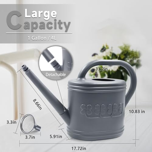 1 Gallon Watering Can (Gray / 1 Gallon)