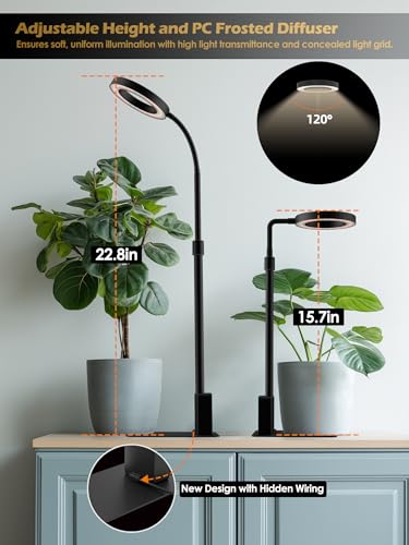 Smart Grow Lights for Indoor Plants