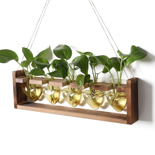 Plant Terrarium Hanging Propagation Stations Gift for Women