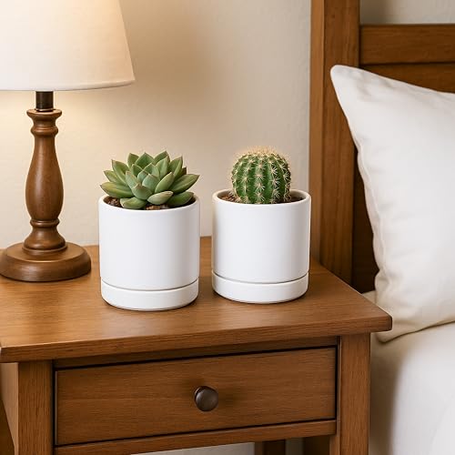 2 Pack Ceramic Pots with Saucers (2 Count)