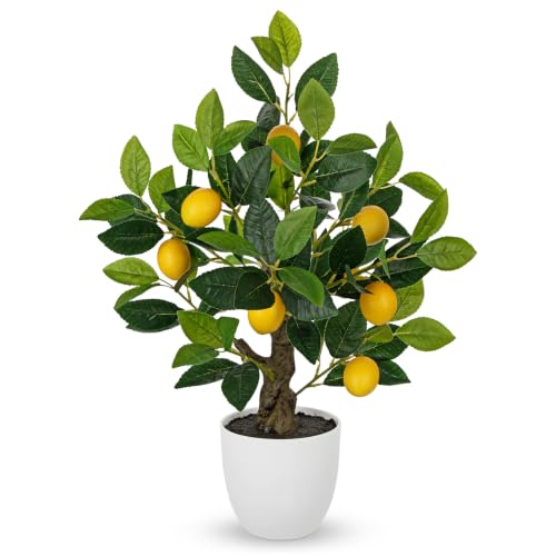 2Ft Fake Lemon Tree Artificial Lemons Tree in Pot Artificial Potted Plants (Big Lemon/White)