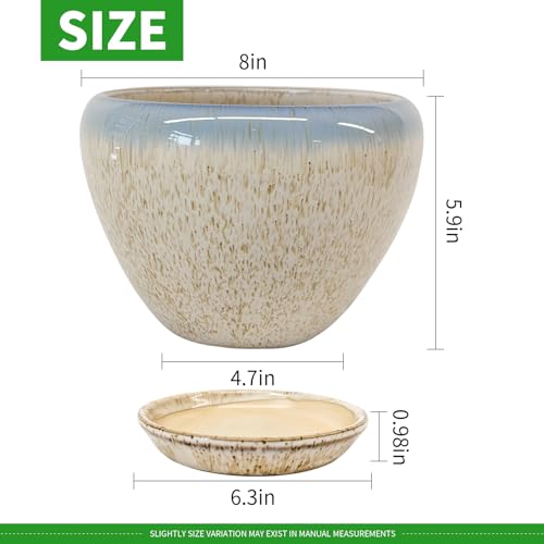8 Inch Plant Pots (Beige&blue / 8 Inch)