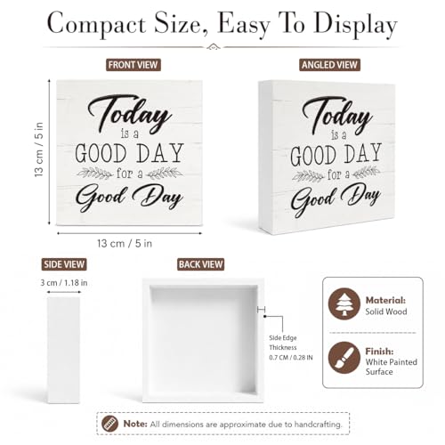 Today is A Good Day to Have A Good Day Inspirational Sayings Wall Decor Signs (Home sign 04)