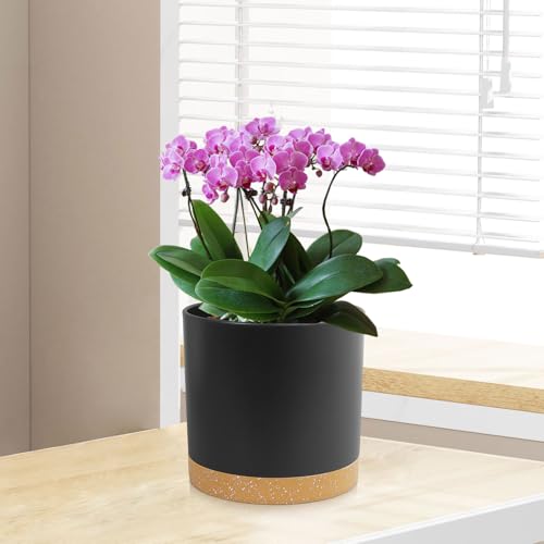 5 Pack Cylindrical Flower Pots with 7 (5 Count)