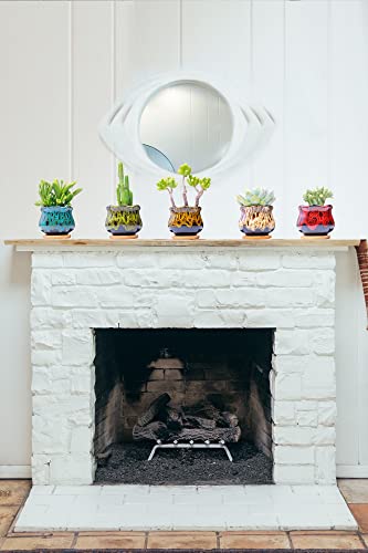 Cute Ceramic Succulent Garden Pots (Fambe)