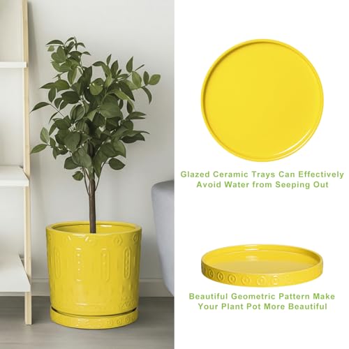 Plant Saucers for Indoors (9.3 Inch / Yellow)