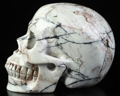 5.0” Black Picasso Jasper Crystal Skull (5.0 Inches Black Picasso Jasper1)
