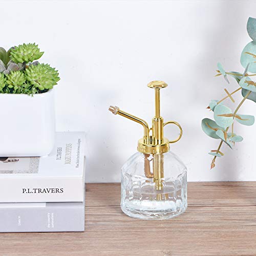 Glass Plant Mister Spray Bottle