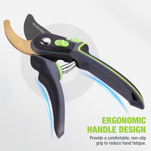 Pruning Shears