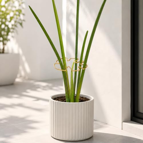 Set of 5 Monstera Plant Stem Support (Gold / 4.13IN*2.95IN)
