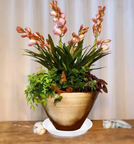 Plant Saucer Pot Tray 18 inch (18" - 4 Pack / White)