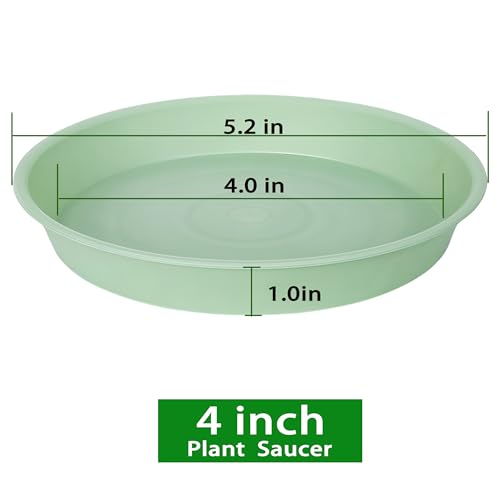 6 Pack Plastic Plant Saucer Water Drip Tray