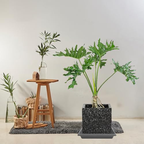 Square Plant Saucer 8 Inch 2 Pack (8"(2Pack) / Gray)