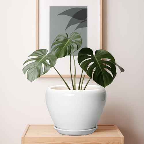 Ceramic Pot for Plants (10 Inch / Glossy White)
