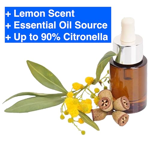 Lemon Eucalyptus (2 Count (Sac) / eucal-lemon)