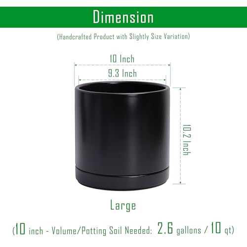 2 Pack Ceramic Pots with Saucers (2 Count)