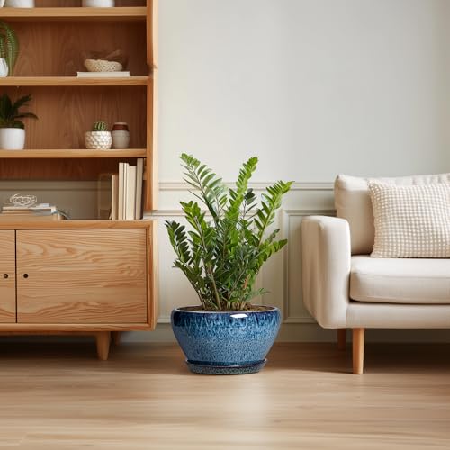 Ceramic Planter 11 Inch (11 Inch / Blue)