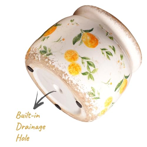Lemon Ceramic Planter (Lemon / 6.3 in)