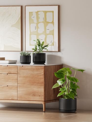Ceramic Plant Pots (Black / 8"+10")