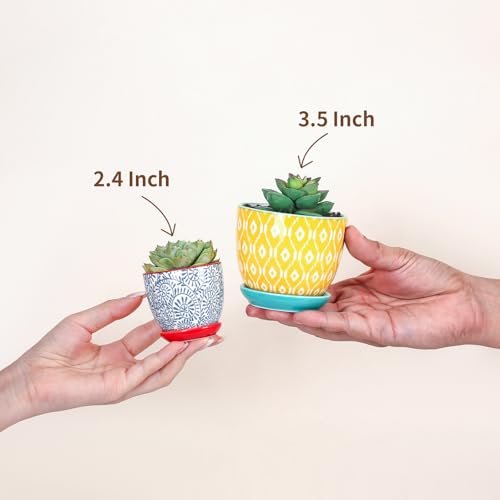 Ceramic 2.4 Inch Succulent Pots (Assorted Colors / 2.4 Inch, Set of 6)