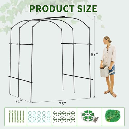 87''H x 75''L Garden Arch Trellis (75'' L x 71'' W x 87'' H/Black)