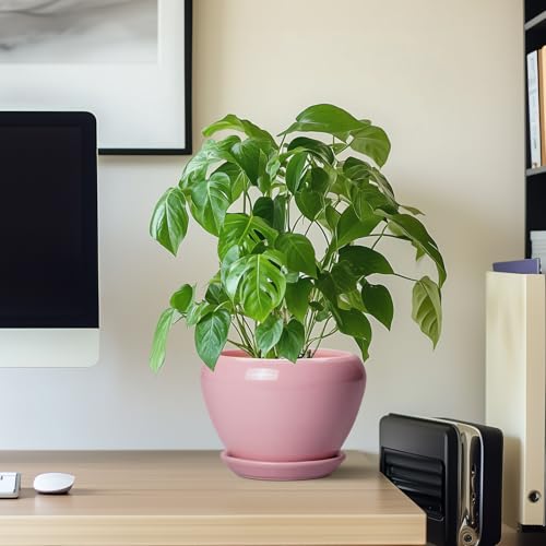 6 Inch Plant Pot (6 Inch / Pink)