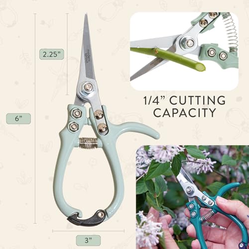 Pruning Shears (Sage)