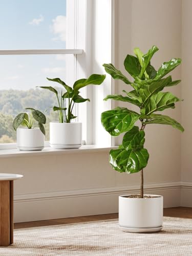 10 inch Plant Pot (White / 10")