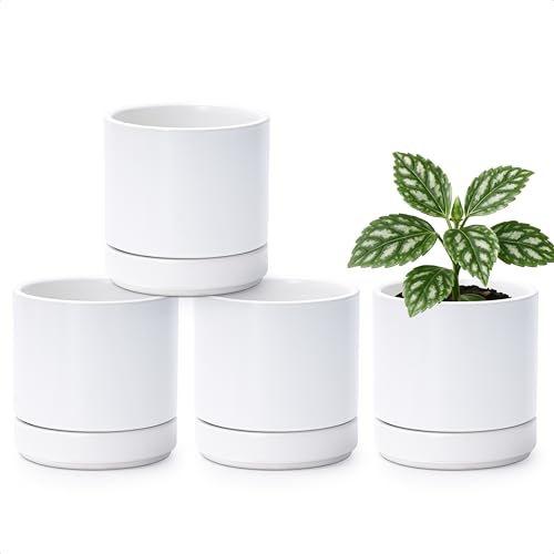 4 Pack Ceramic Pots with Saucers (4 Count)