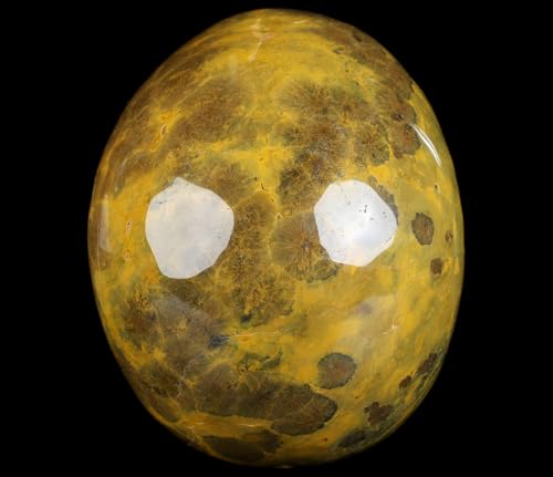5.0” Ocean Jasper Crystal Skull (5.0 Inches Ocean Jasper 9)