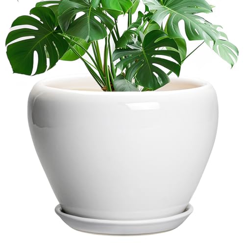 Ceramic Pot for Plants (10 Inch / Glossy White)