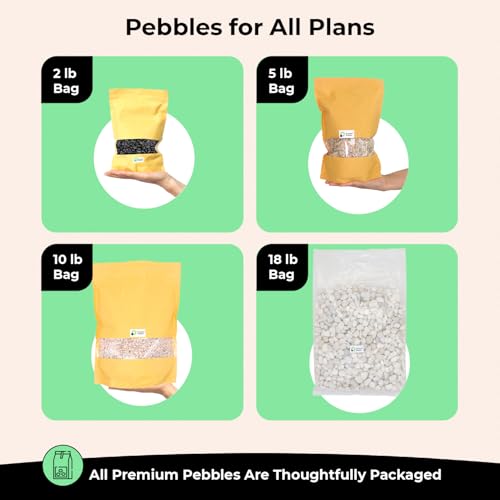 Green Jade Polished Rocks for Plants