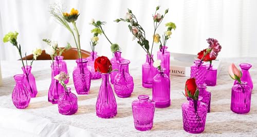 Glass Bud Vases Set of 24 (24 Count)