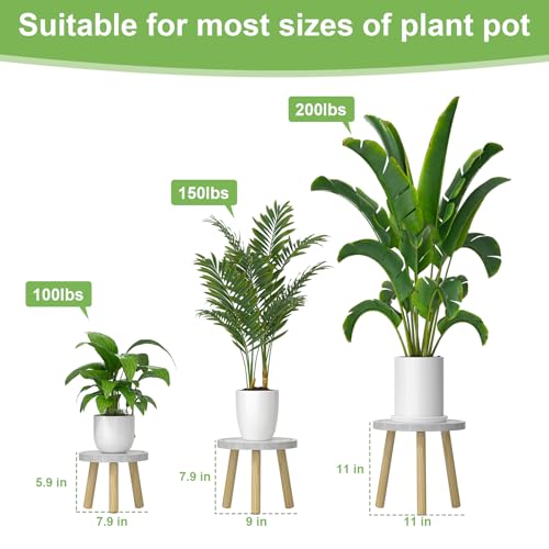 3 Pack Wood Plant Stands Indoor (White Tray with Wood Color Legs / 3 Pack)