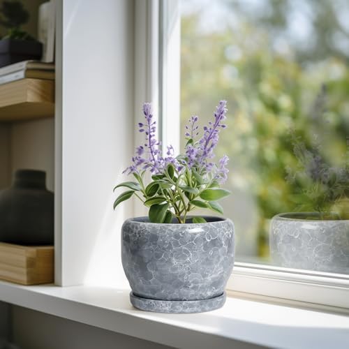 6 Inch Plant pots Indoor