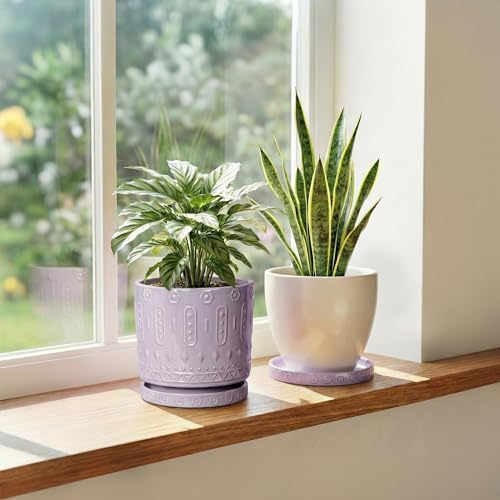 Ceramic Plant Saucer 5.6 Inch (5.6 Inch (2 Pack) / Purple)