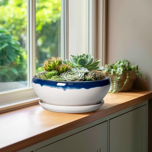 Bonsai Pots 10 Inch Ceramic Pots for Succulents (10 Inch / Blue Off-white)