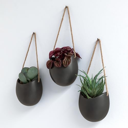Wall Planters (3 Count)