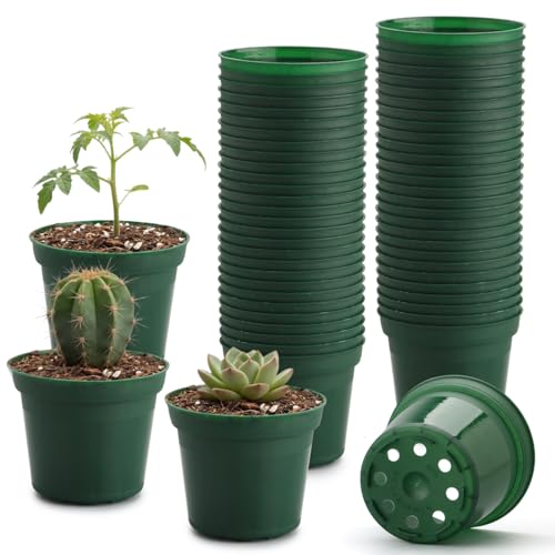 50 Pack 3 Inch Plastic Nursery Pot with Drainage Holes (Green / 3"-50P)