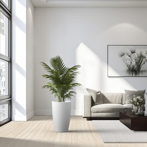 Accent Round Tapered White Concrete Planter 20.5" Tall (Pure White / 20.5"H (Single Planter))