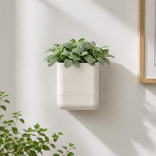 3.5 Inch Wall Mounted Self (3.5" (1 Pack) / Oatmeal)